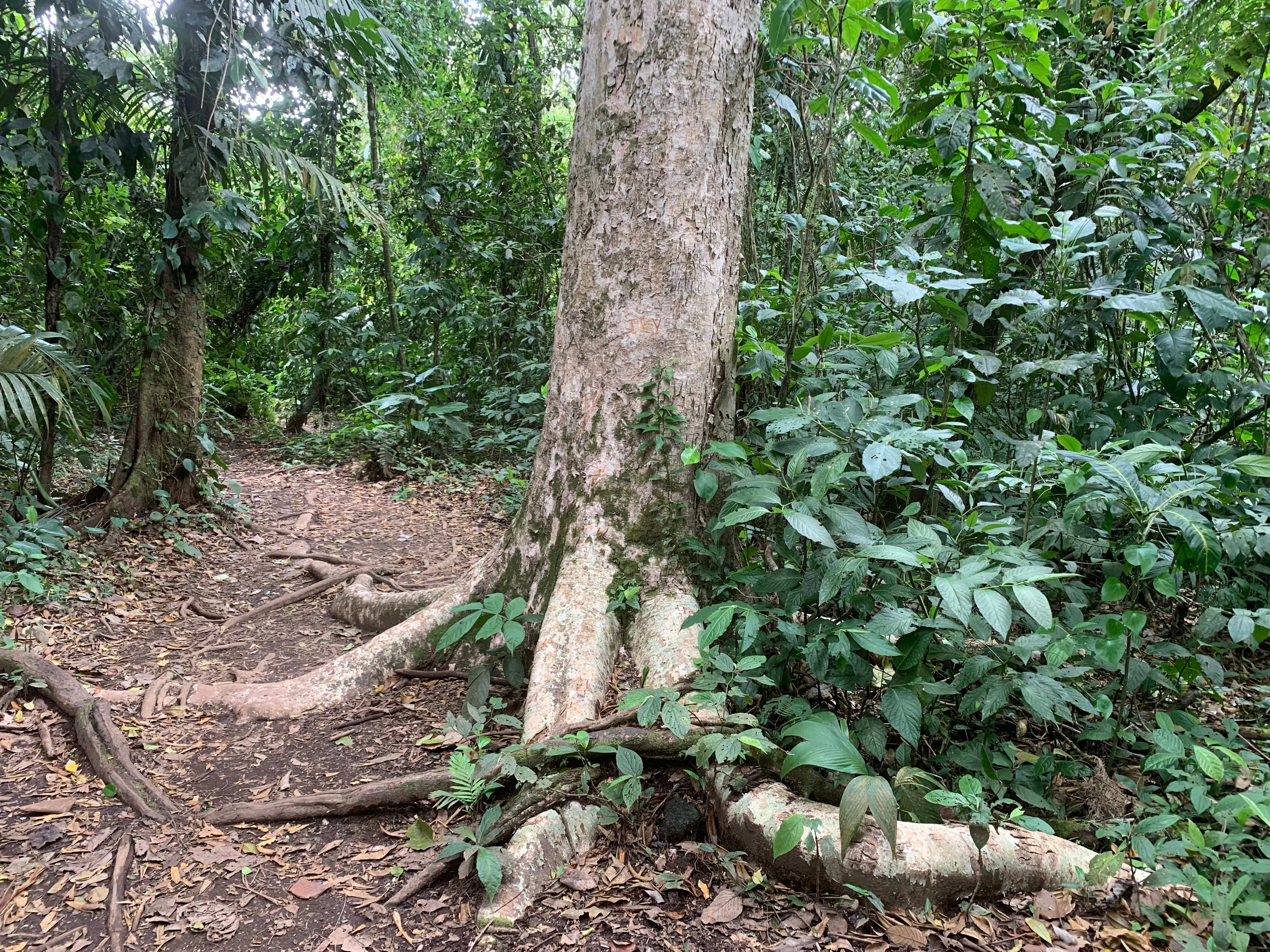 Costa Rica